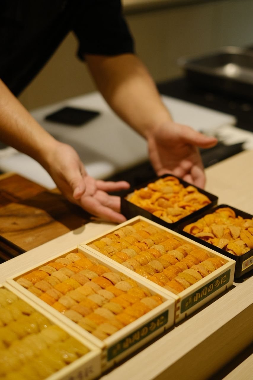 The chef's hands presenting trays of uni across the DEN Culinary counter